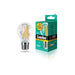 Camelion Led Lamp Filament LED13-A60-FL/830/E27 ფილამენტის ნათურა 13 ვატი ეკვივალენტი 110